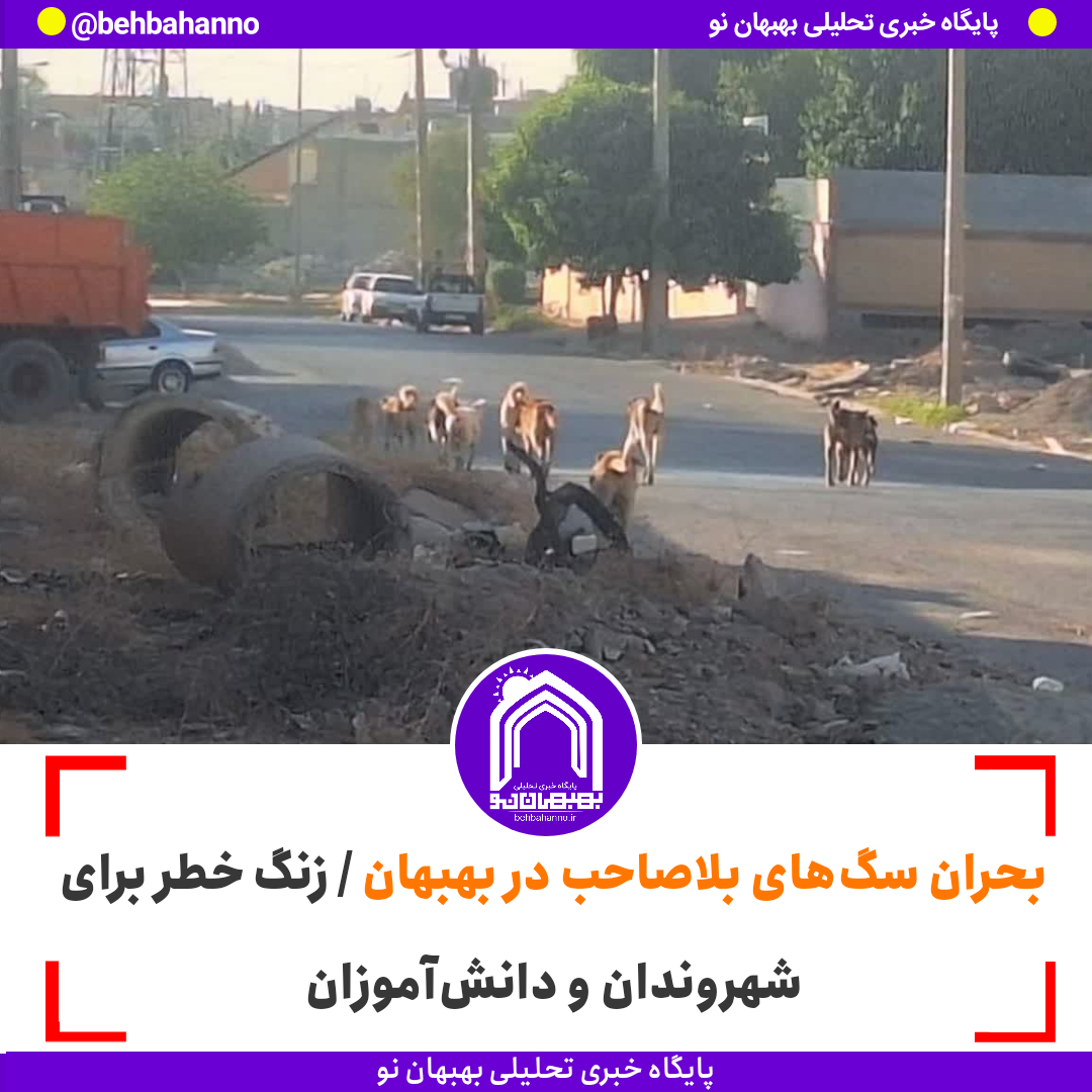 بحران سگ‌های بلاصاحب در بهبهان / زنگ خطر برای شهروندان و دانش‌آموزان بهبهان