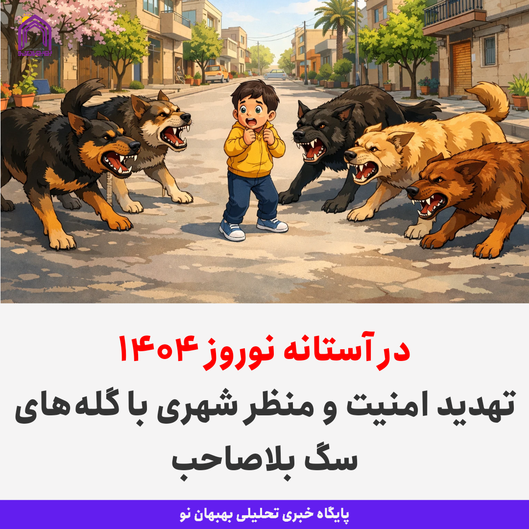در آستانه نوروز ۱۴۰۵ / تهدید امنیت و منظر شهری با گلههای سگ بلاصاحب